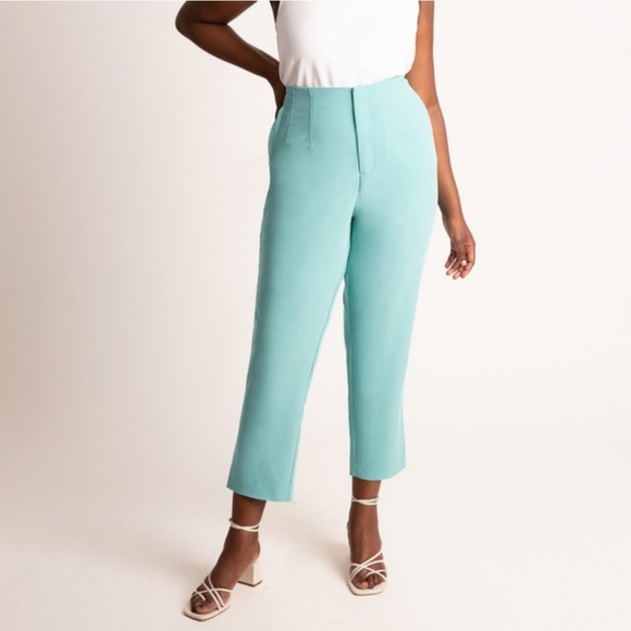 Eloquii Pants - Eloquii Mint Hight Waist Taper Pants